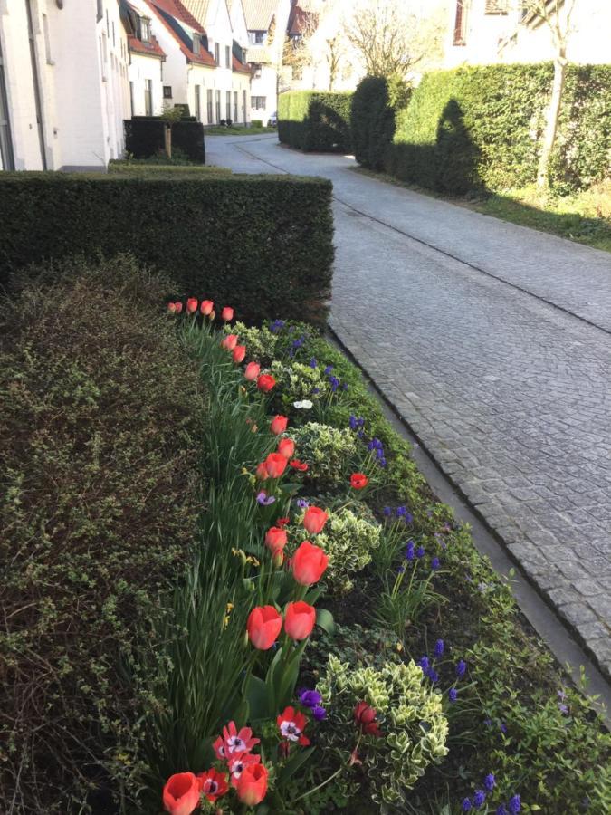 B&B Het Colettientje Brygge Exteriör bild